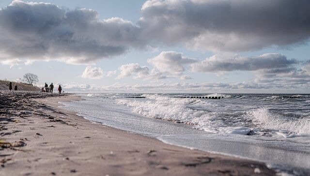 Ferienwohnung in Ahrenshoop - Strandd&uuml;ne 1 - Bild 8
