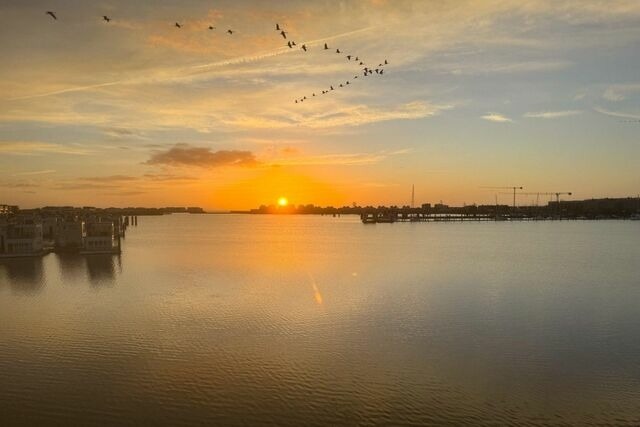 Ferienhaus in Olpenitz - Schleivilla Kapit&auml;n James Cook2 by Seeblick Ferien ORO,E-S&auml;ule, Thermomix, Sauna - Bild 23