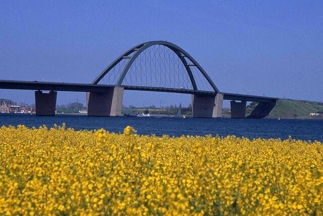 Ferienwohnung in Großenbrode - Meerblick 10 - Großenbrode - Bild 19