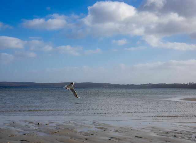 Ferienhaus in Gl&uuml;cksburg - Ferienhaus Bockholm 24 c - Bild 20
