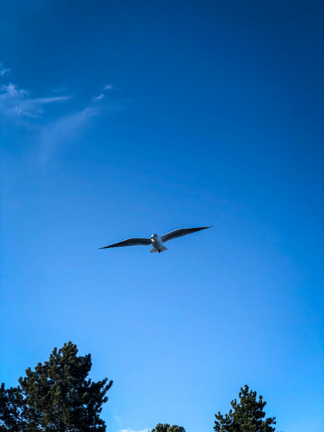 Ferienhaus in Glücksburg - Ferienhaus "Blaue Blume" - Bild 24