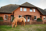 Ferienwohnung in Fehmarn OT Neujellingsdorf - Bauernhof Höper-Rauert - Reihenhaus 8 - Bild 21