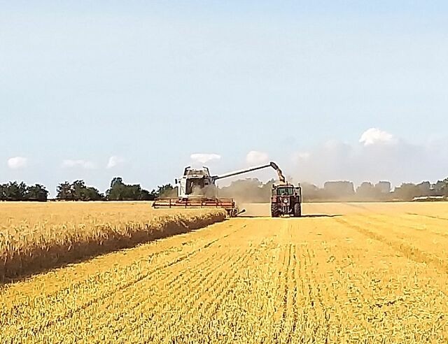Ferienwohnung in Fehmarn OT Neujellingsdorf - Bauernhof Höper-Rauert - Reihenhaus 3 - Bild 20