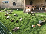 Ferienwohnung in Fehmarn OT Staberdorf - Tenne 6, inkl. 1 Parkplatz - Bild 22