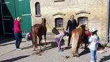 Ferienwohnung in Fehmarn OT Staberdorf - Tenne 6, inkl. 1 Parkplatz - Bild 13