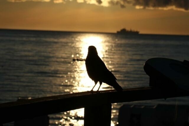 Ferienwohnung in Scharbeutz - Maris Ferienwohnung Nr. 46 (EG mit Terrasse) - Bild 21