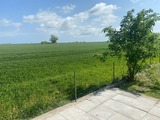 Ferienhaus in Fehmarn OT Gammendorf - Ferienhaus Sonnenwinkel - Blick über die Felder