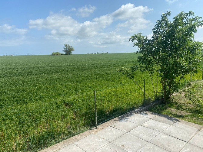 Ferienhaus in Fehmarn OT Gammendorf - Ferienhaus Sonnenwinkel - Blick über die Felder