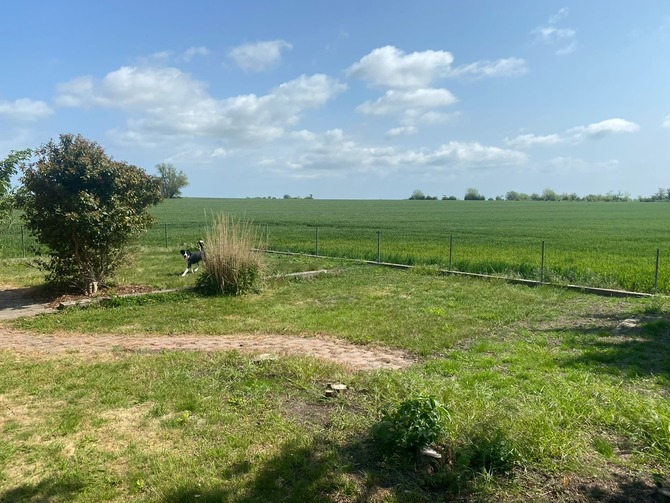 Ferienhaus in Fehmarn OT Gammendorf - Ferienhaus Sonnenwinkel - Blick über die Felder