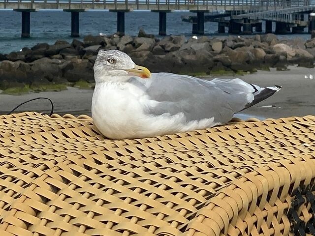 Ferienwohnung in Sch&ouml;nberg - Ostseezeit 1 - Bild 10