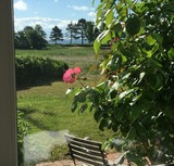 Ferienhaus in Gl&uuml;cksburg - Ferienhaus Seeblick 39 - Bild 1