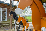 Ferienwohnung in Waabs - Ostseegarten Langholz - Ferienwohnung Schwalbe (bis 2 Pers) - Bild 15