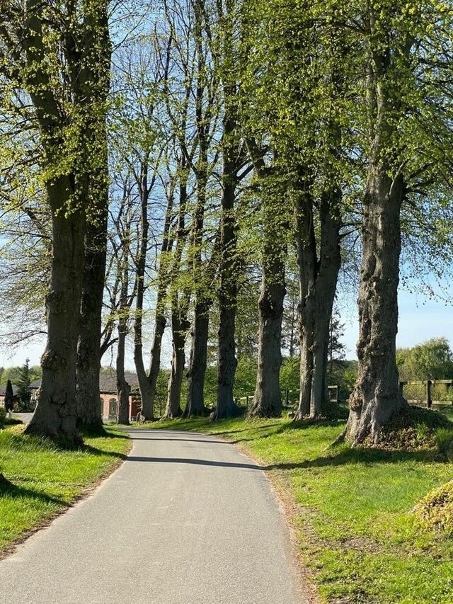 Ferienwohnung in Rieseby - Gut Büchenau - Ferienwohnung Romantika - Bild 15