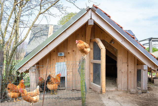 Ferienwohnung in Waabs - Ostseegarten Langholz - Ferienwohnung Silberm&ouml;we (bis 6 Pers) - Bild 20