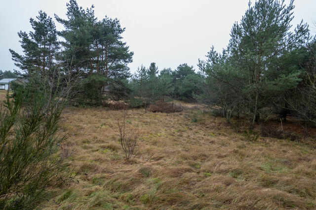 Ferienhaus in Pruchten - Bodden Paradise Cottage - Bild 18