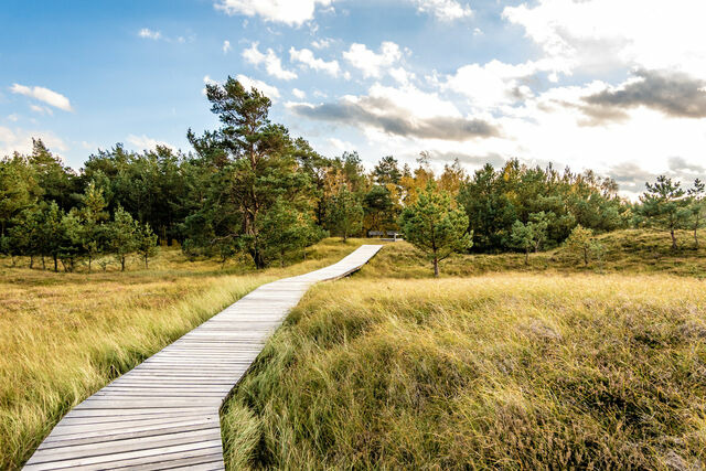 Ferienhaus in Pruchten - Bodden Paradise Cottage - Bild 23