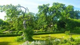 Ferienwohnung in Starkow - Ferienwohnung Rosengarten am Pfarrgarten Starkow - Bild 15