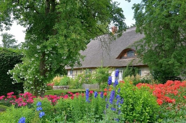 Ferienwohnung in Starkow - Ferienwohnung Apfelgarten am Pfarrgarten Starkow - Bild 8