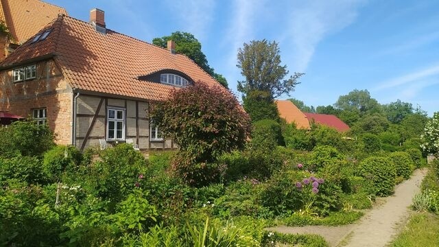 Ferienwohnung in Starkow - Ferienwohnung Irisgarten am Pfarrgarten Starkow - Bild 21