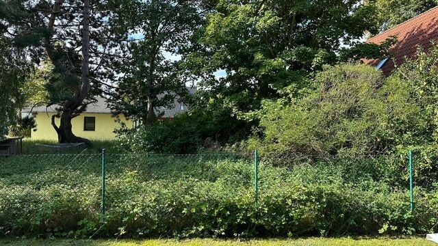 Ferienwohnung in Prerow - Franzi 5 - Bild 8