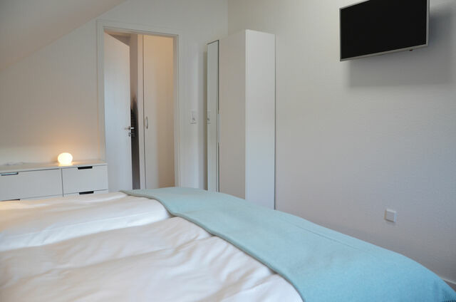 Ferienwohnung in Groß Wittensee - Seepanorama - Bild 6