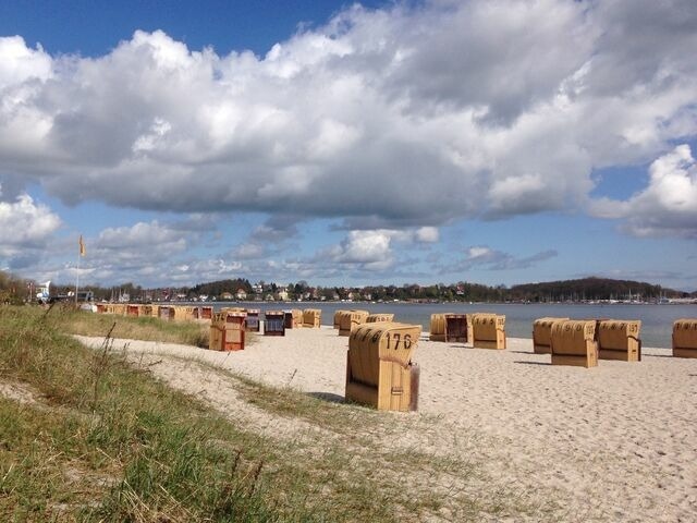 Ferienwohnung in Groß Wittensee - Seepanorama - Bild 16