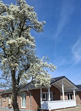 Ferienhaus in Gr&ouml;mitz - Hof Hagen - "Am Birnenbaum" (Neubau 2025) - Bild 3