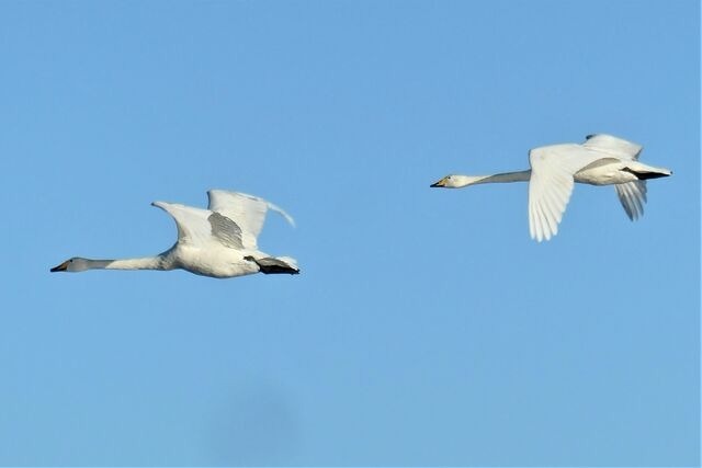 Ferienwohnung in Gelting-Niesgrau - Ferienwohnung Hafenblick Ferienhof Geltinger Bucht - Bild 20