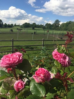 Fertigstellung 1.12.2026