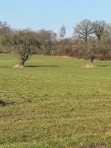 Ferienhaus in Haby - Fertigstellung 1.12.2026 - Bild 8