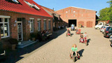 Ferienhaus in Fehmarn - Sonnenblume - Bild 14