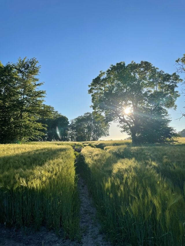 Ferienwohnung in Maasholm - Ferienwohnung mit Ostseeblick #15 - Bild 23