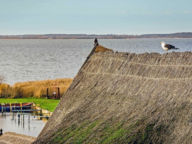 Ferienwohnung in Loddin - Aquarius Ferienwohnungen - Wasserblick Achterwasser