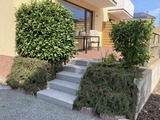 Ferienwohnung in Dahme - Haus Meeresgl&uuml;ck Seeteufel - Bild 23