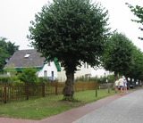 Ferienhaus in Graal-M&uuml;ritz - Das kleine Ferienhaus - Bild 16