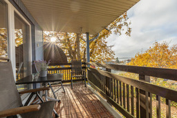 F&ouml;rdeblick Nr. 55