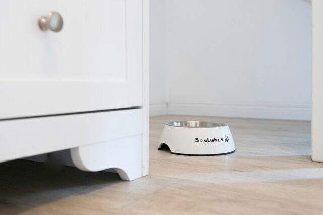 Ferienhaus in Süssau - Seepark Süssau Ferienhaus Seeliebe 1 - Bild 14