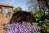 Ferienwohnung in Fehmarn OT Sahrensdorf - Ferienhaus May App. 1 - Bild 16