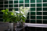Ferienwohnung in Dahme - Berolina Wohnung 100 - Bild 25