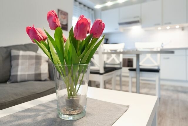 Ferienwohnung in Dahme - Villa Seewind Wohnung 1 - Bild 7