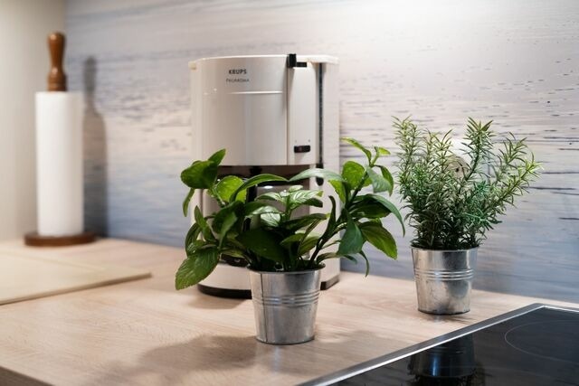 Ferienwohnung in Dahme - Berolina Seabreeze - Bild 18