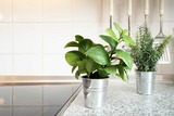 Ferienwohnung in Gr&ouml;mitz - Gildestra&szlig;e 31- Wohnung 3 - Bild 18