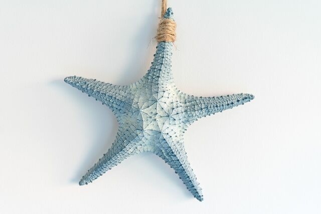 Ferienwohnung in Bosau - Haus Schwanensee Maritimes Ferienappartement am Plöner See - Bild 8