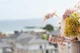 Ferienwohnung in Dahme - Berolina Ostseeausblick - Bild 13