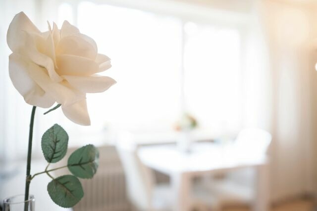 Ferienwohnung in Timmendorfer Strand - Haus Seepferdchen am Meer Appartement 2 - Bild 8