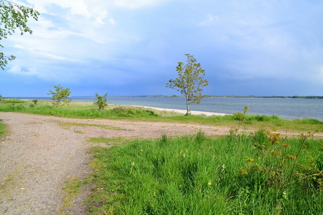 Ferienwohnung in Barkelsby-Hemmelmark - Alte Schule 1 - Bild 16