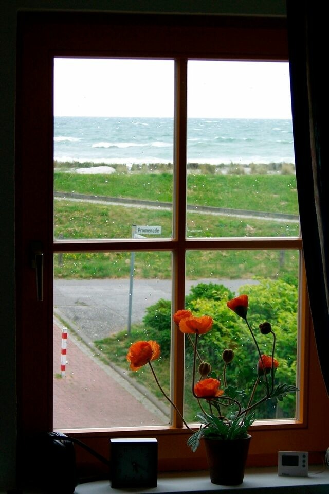 Ferienwohnung in Sch&ouml;nberger Strand - Thiering, App. "Deichblick" (4) - Bild 4