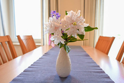 Zur sch&ouml;nen Aussicht - FW 7