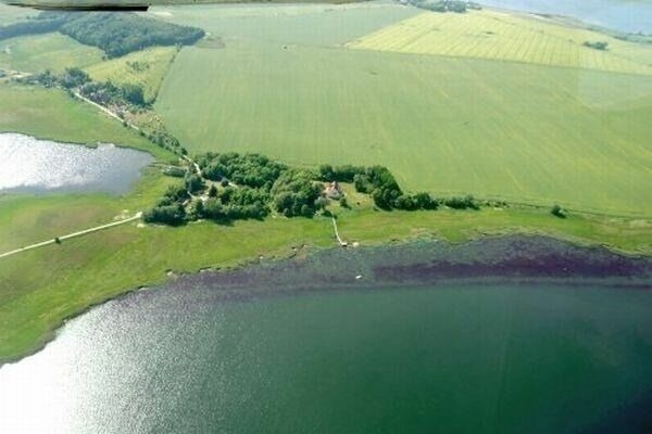 Ferienwohnung in Neuenkirchen (Rügen) - Gutshaus Grubnow Ferienwohnung 3 - Bild 15