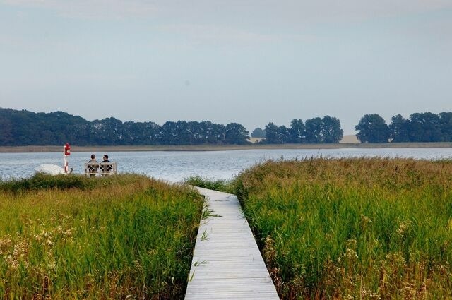 Ferienwohnung in Neuenkirchen (Rügen) - Gutshaus Grubnow Ferienwohnung 3 - Bild 18